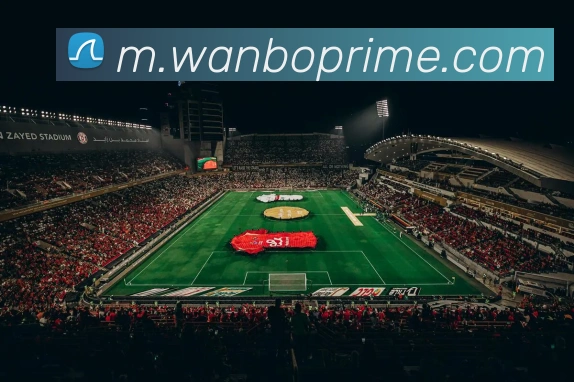 多媒体互动体验